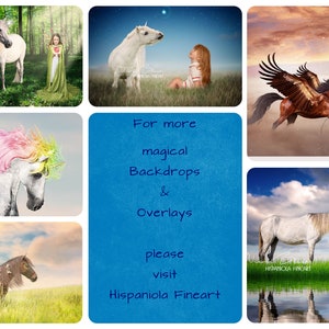 Unicorn in Forest Scene Unicorn Backdrop digital Backdrop Unicorn digital file image 9