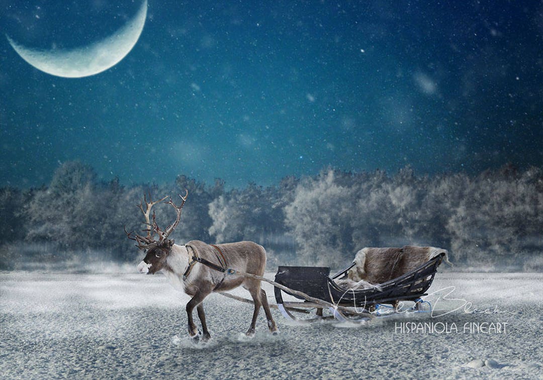 Reindeer With Sled Scene Premade Backdrop Christmas Backdrop Photoshop