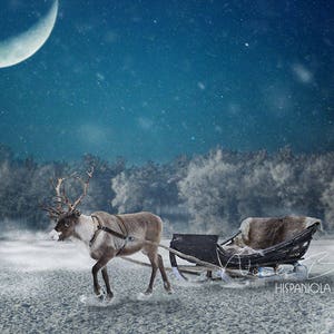 Reindeer with Sled Scene | premade Backdrop | Christmas Backdrop | Photoshop Backdrop