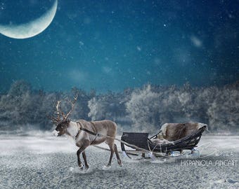 Reindeer with Sled, Winter Landscape, 1 Snow Overlay incl. , Reindeer backdrop Digital, Backdrop, download, Photoshop Backdrop, composite
