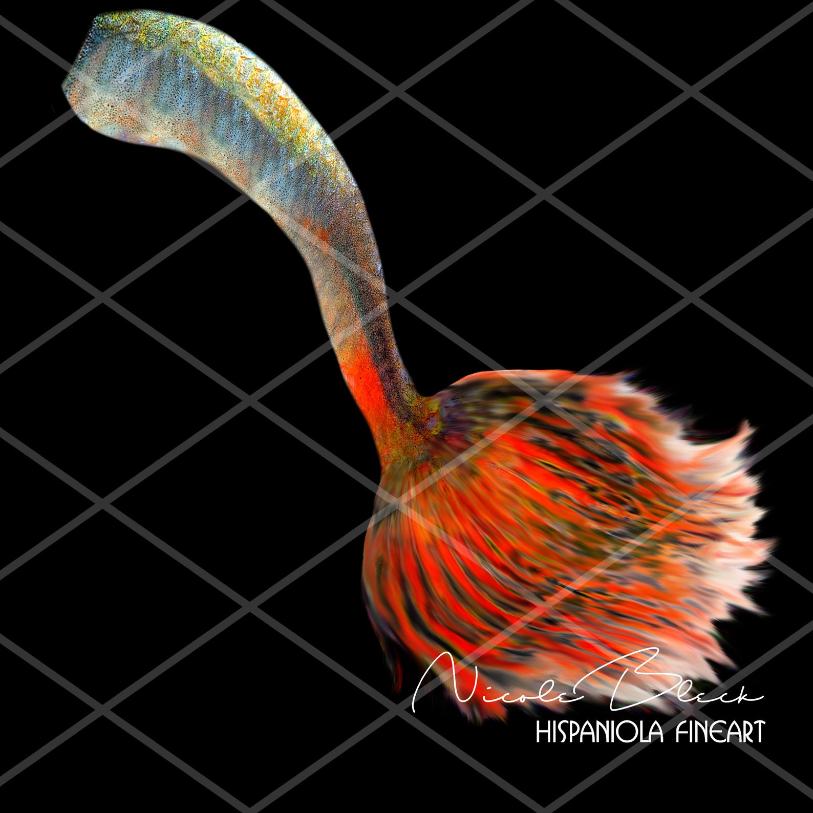 Mermaid Tail Digital Overlay Mermaid Tails PNG Photography Etsy Hong Kong