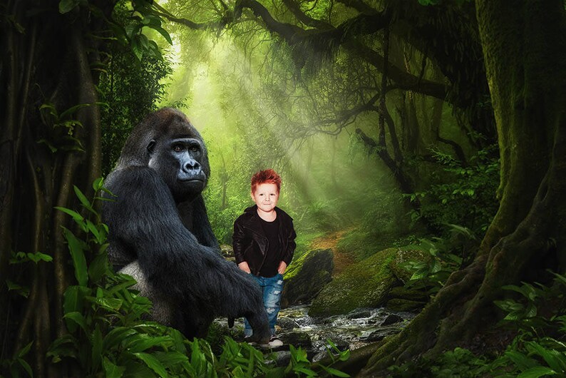 Jungle Software Gorilla 5 Serial
