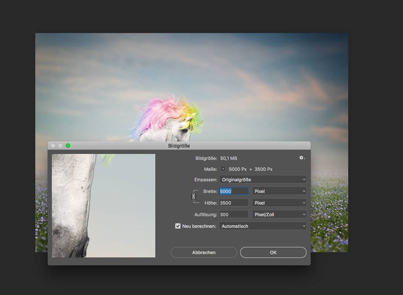 Rainbow Unicorn Scene premade Backdrop realistic Unicorn Backdrop digital download image 5