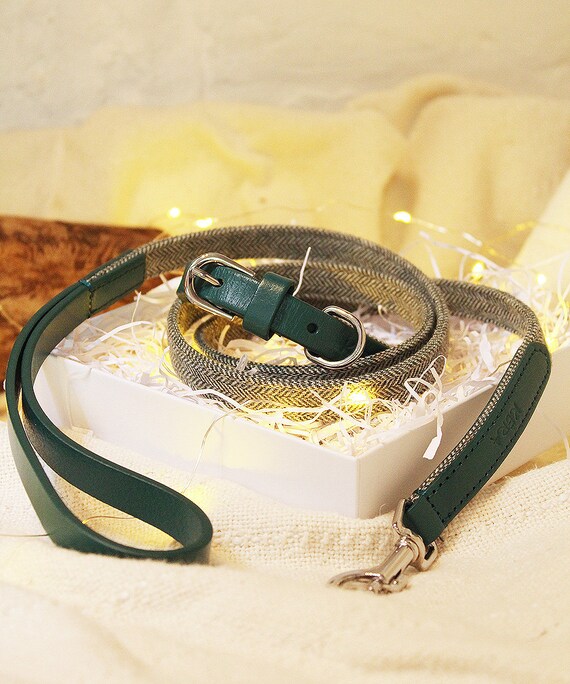 Green tweed top dog collar