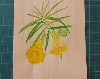 Yellow Oleander Kaner, Illustration, Handmade Original art