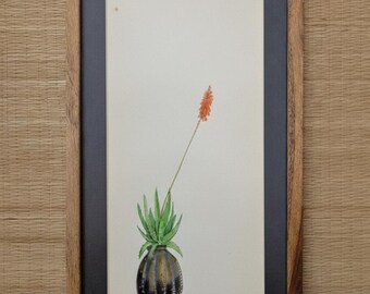 Aloe Vera Succulent antique planter grounded handmade watercolor painting
