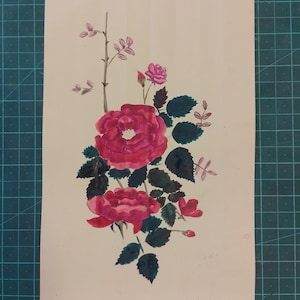 Moschus Rose Rosa Moschata Desi Gulab Botanische Illustration Handgefertigte Malerei