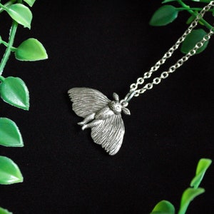 Puede incluir: Un collar de plata con un colgante de polilla detallado. El colgante es una representaci&oacute;n realista de una polilla con alas y patas intrincadas. El collar est&aacute; sobre un fondo negro con hojas verdes.