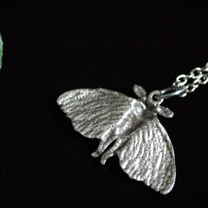 Puede incluir: Un collar de cadena de plata con un colgante de polilla de plata detallada. La polilla tiene alas texturizadas y un cuerpo delicado.