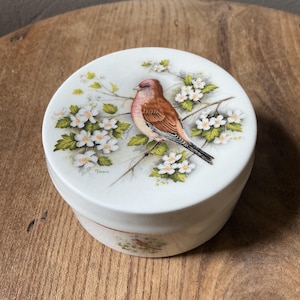 Vintage linnet small bird trinket pot, Coalport bone china.