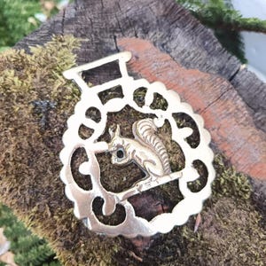 Squirrel horse brass, antique cast horse medallion.