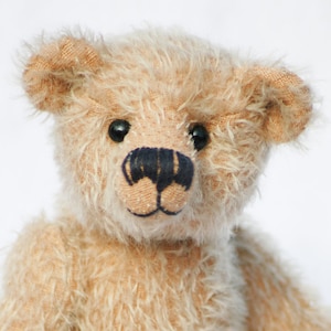 May include: A close-up of a beige teddy bear with a black stitched nose and black eyes. The bear has a fluffy, shaggy coat.