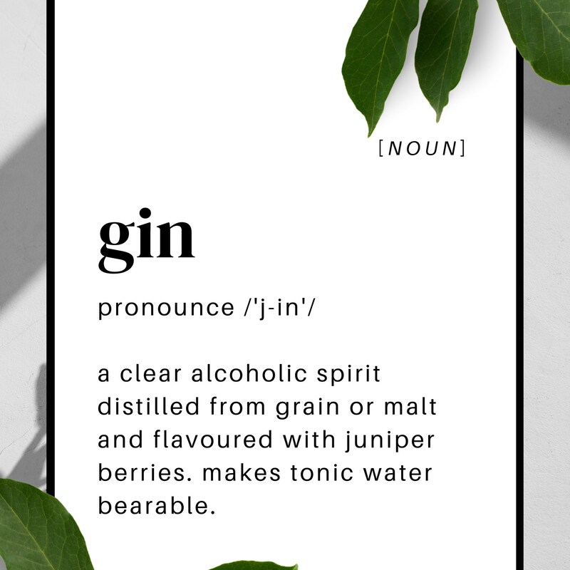 Gin Definition Etsy UK