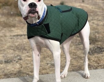 self warming dog jacket