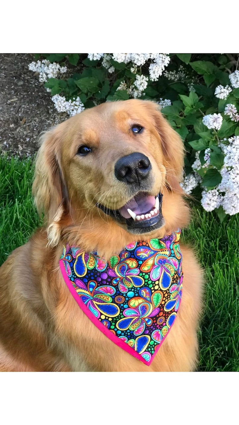 CarnivalParty Dog Bandana made to order