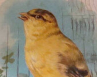 LAST CHANCE SALE Vintage Tuck's Postcard (The Canary)