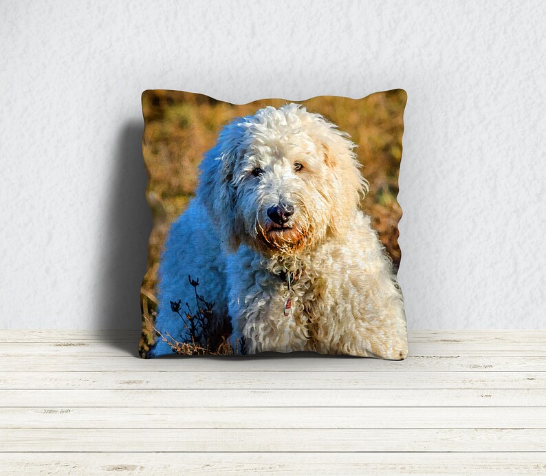Goldendoodle Pillow Decorative Pillow Dog Pillow Throw Etsy