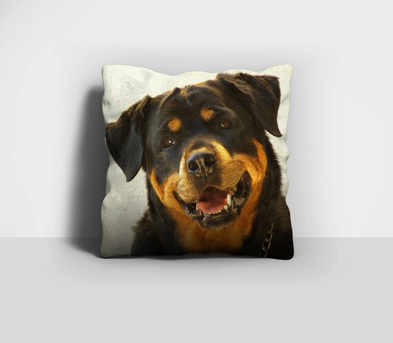 bandeath dog shelter