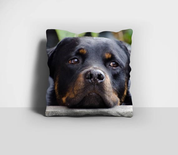 rottweiler pillow