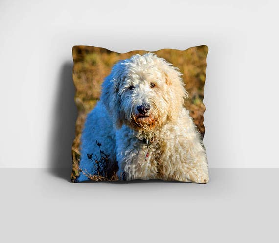 pix Goldendoodle Pillow Cover etsy
