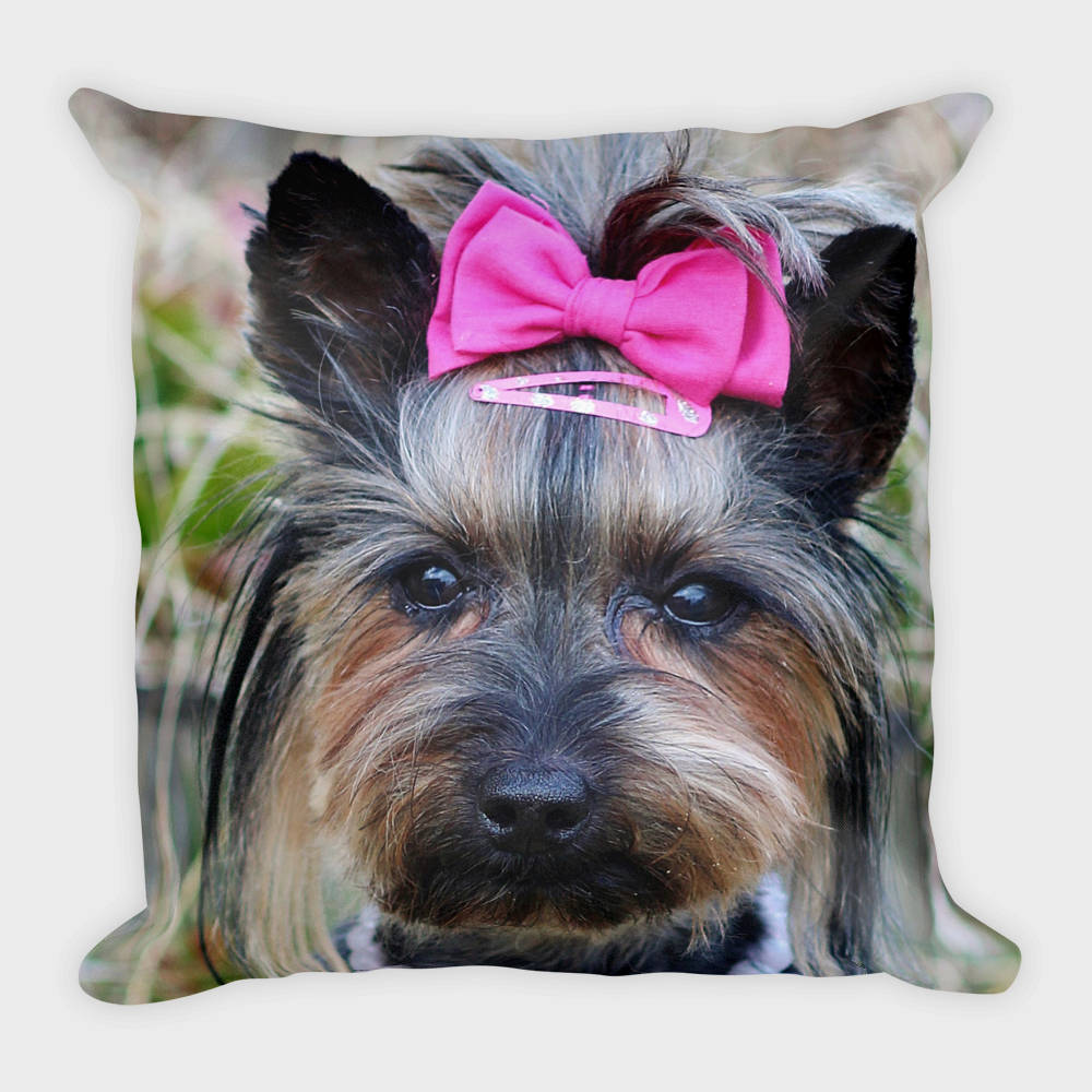 Yorkie Pillow Throw Pillow Yorkshire Terrier Pillow Yorky Etsy Australia