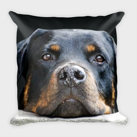 rottweiler pillow