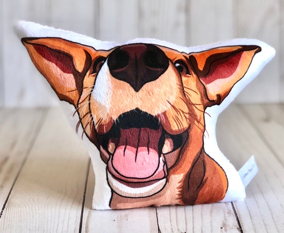 red heeler stuffed animal