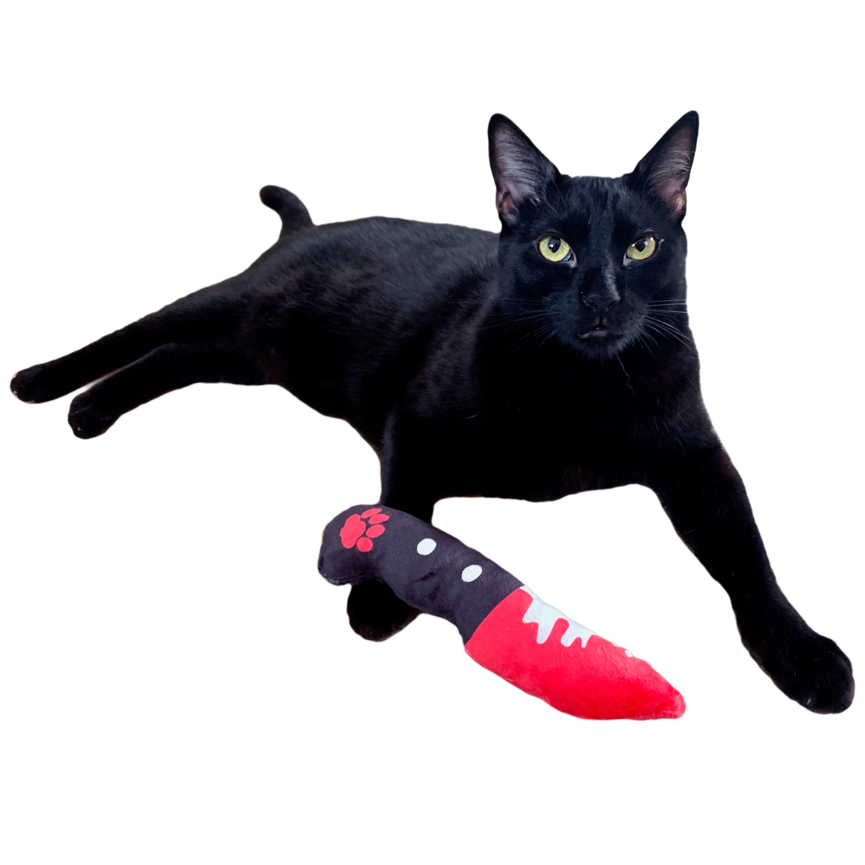 Catnip Cat Toy Bloody Knife Gift For Cats Dexter Killer Cat Etsy
