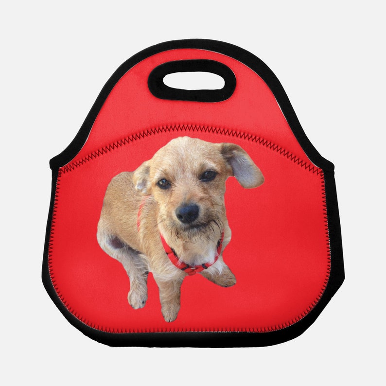 Custom Pet Lunch Box Dog Lunchbox Cat Lunchbox Photo Pet Etsy