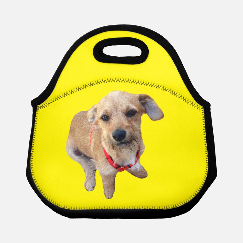 Custom Pet Lunch Tote or Lunchbox Custom Cat Lunch Bag Custom Dog Lunch Bag Pet Photo Lunch Tote neoprene Lunch Tote for Pet Lovers