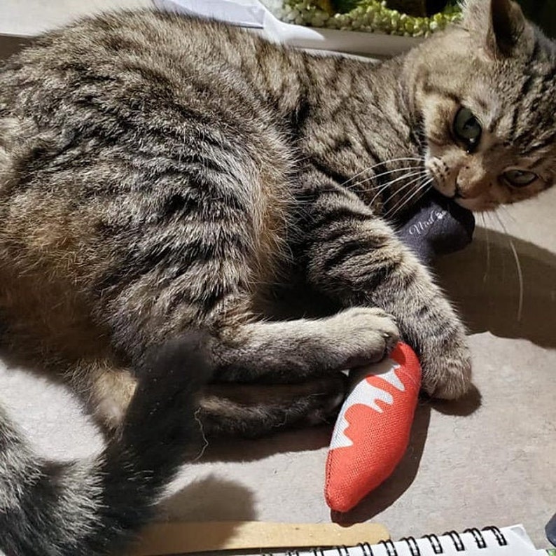 Catnip Cat Toy Bloody Knife Gift for Cats Dexter Killer Cat Etsy