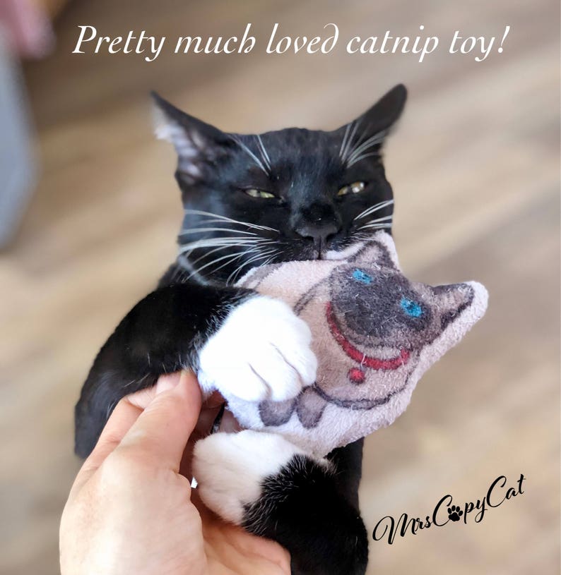Giocattolo Del Gatto Nip Gatto Siamese A Forma Di Gatto Etsy