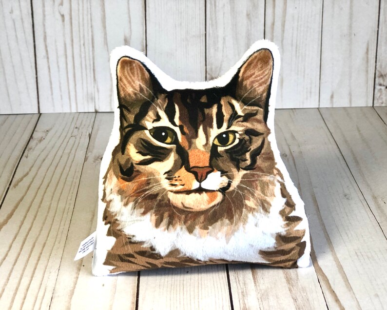 maine coon pillow