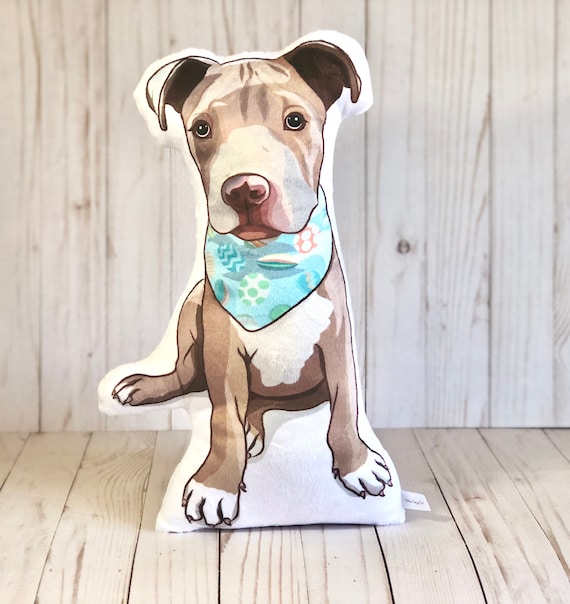 pitbull plush