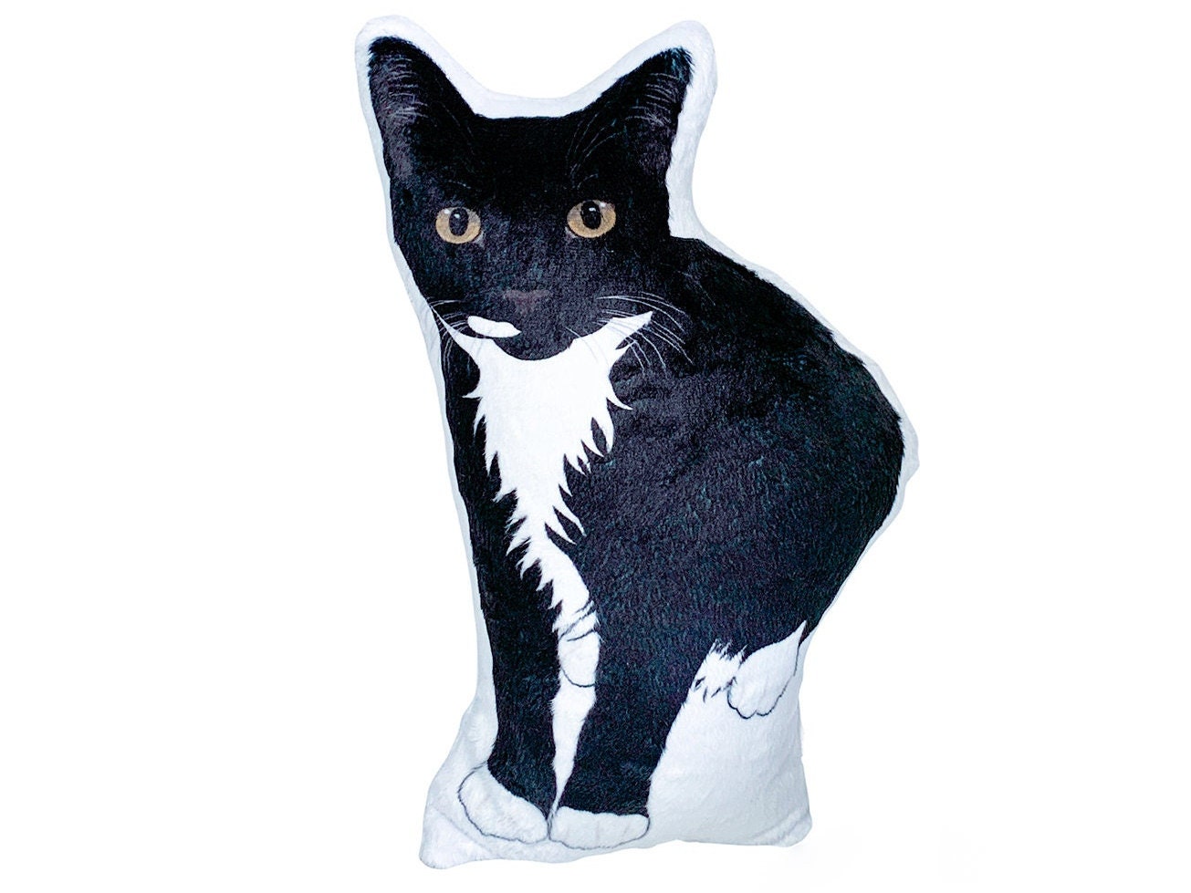 Bombay cat shops breeders near me