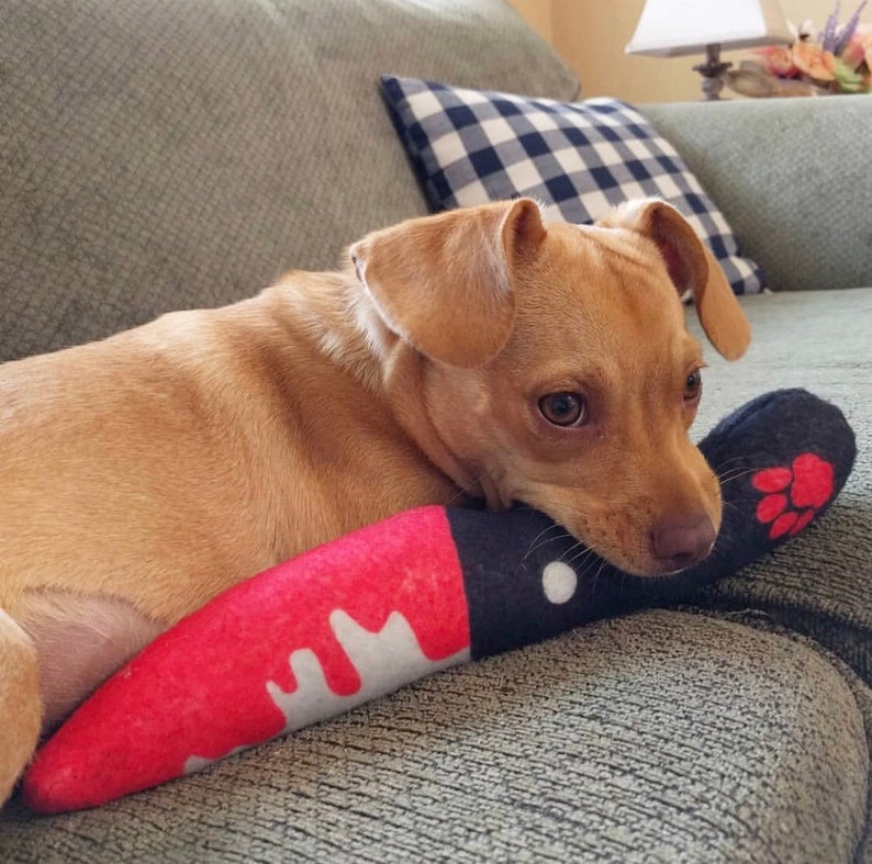 Knife Dog Toy Bloody Knife Squeaky Toy for Small Dogs Handmade Etsy