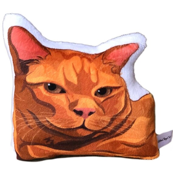orange cat pillow