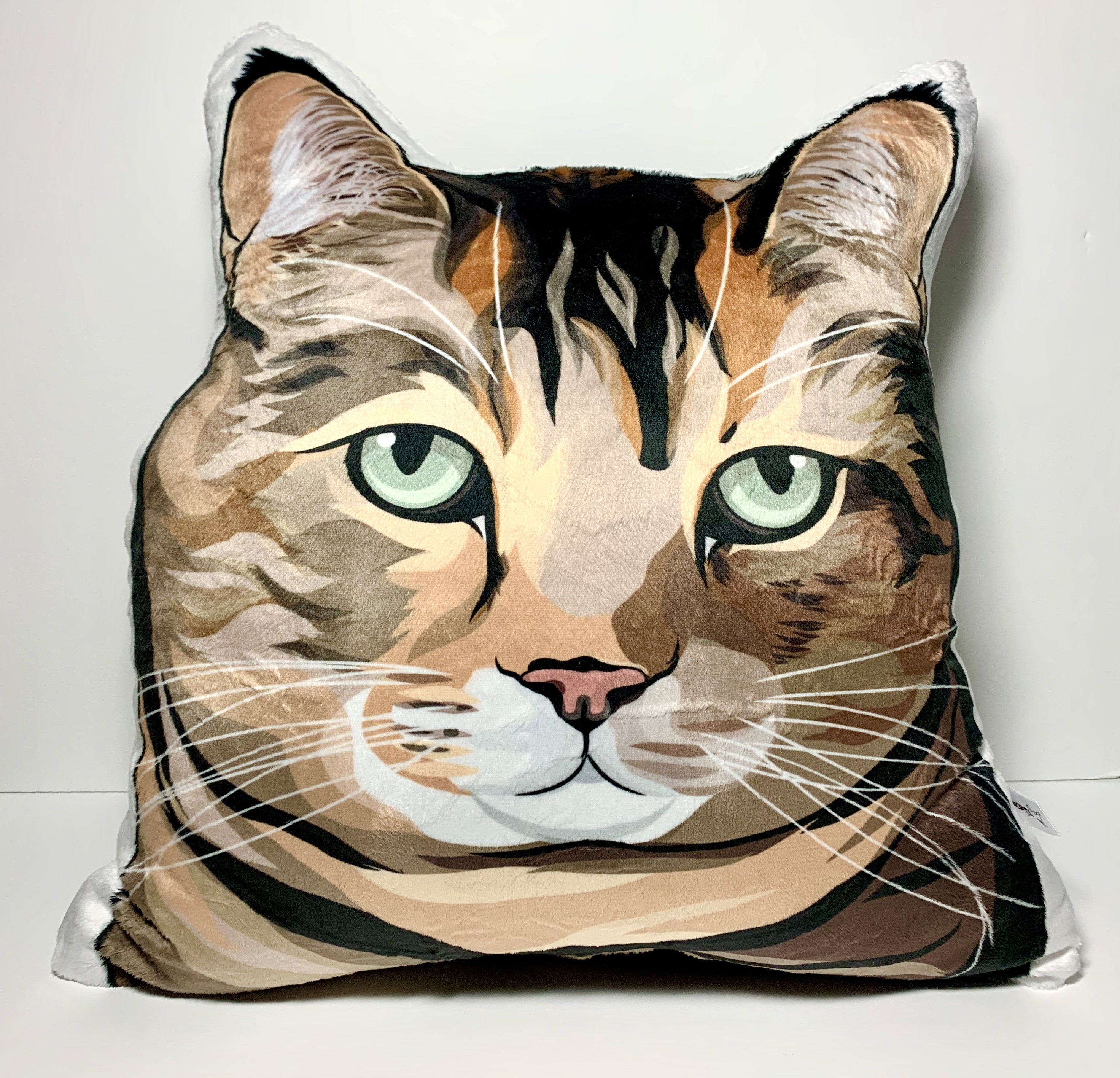 orange cat pillow