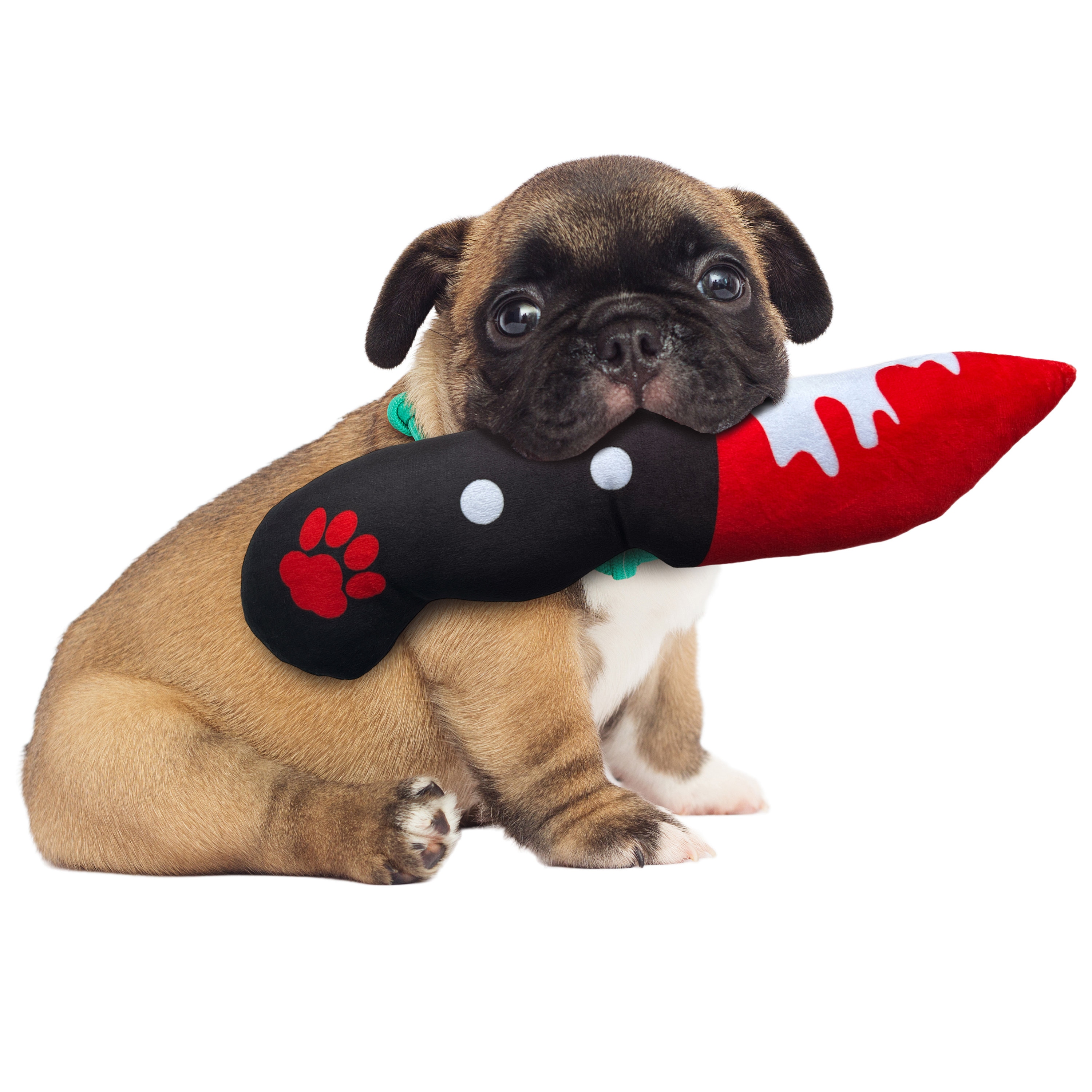 Designer-Inspired Fuzzy Friends: Parody Plush Dog Toys for