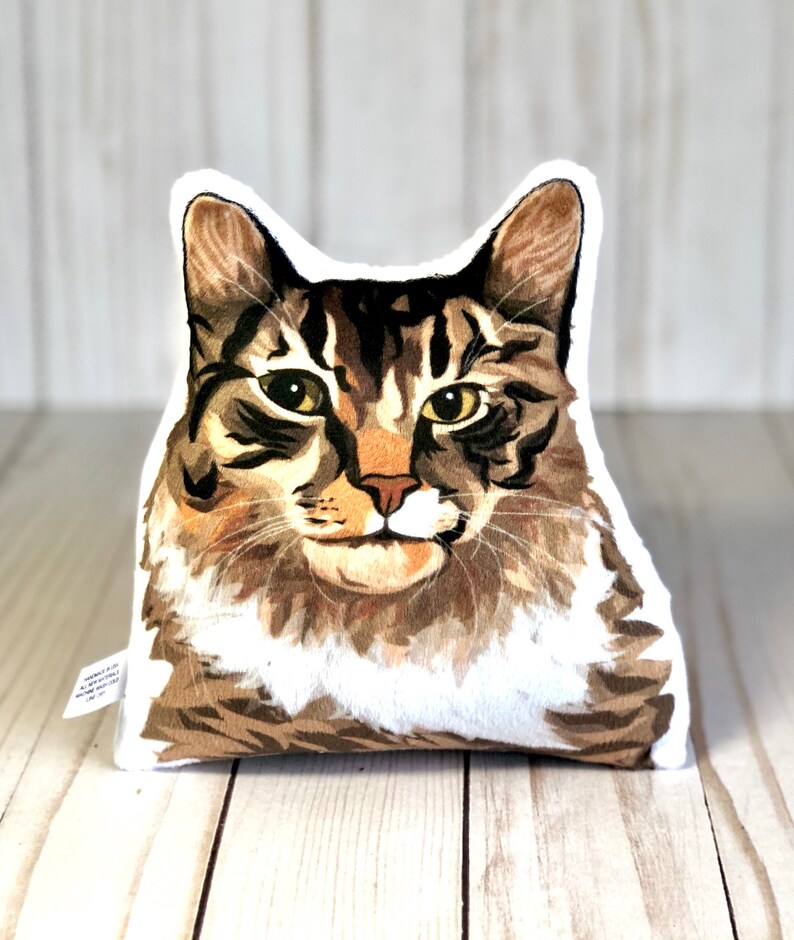 maine coon pillow
