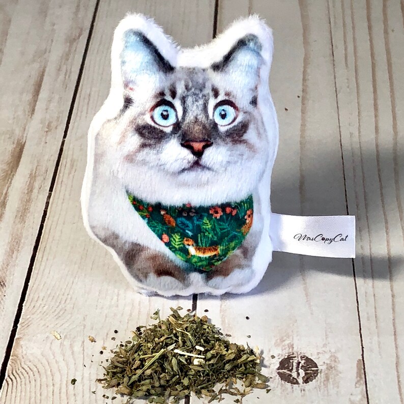 best interactive kitten toys