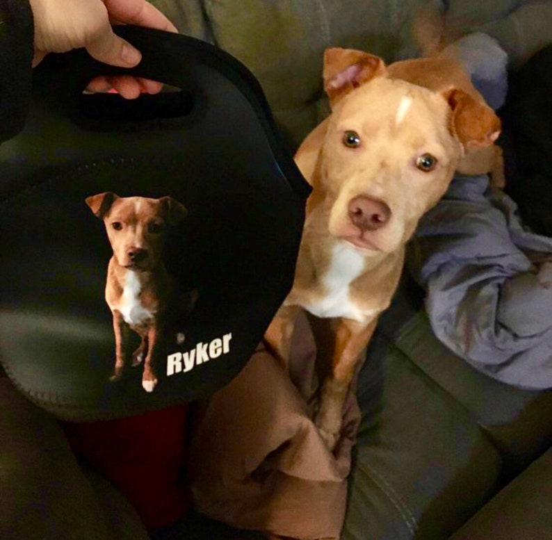 Custom Pet Lunch Tote or Lunchbox Custom Cat Lunch Bag Custom Dog Lunch Bag Pet Photo Lunch Tote neoprene Lunch Tote for Pet Lovers