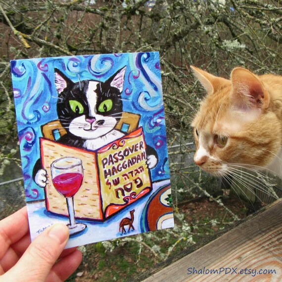 Pesach Hebrew Cat Tee Happy Jewish Passover T-Shirt Gifts Pesach Hebrew Cat Tee Happy Jewish Passover T-Shirt Gifts