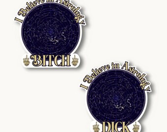 I Believe in Astrology Decals