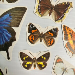 Butterflies diecut ephemera pack collage kit junk journal pack scrapbooking set 11 pieces image 4