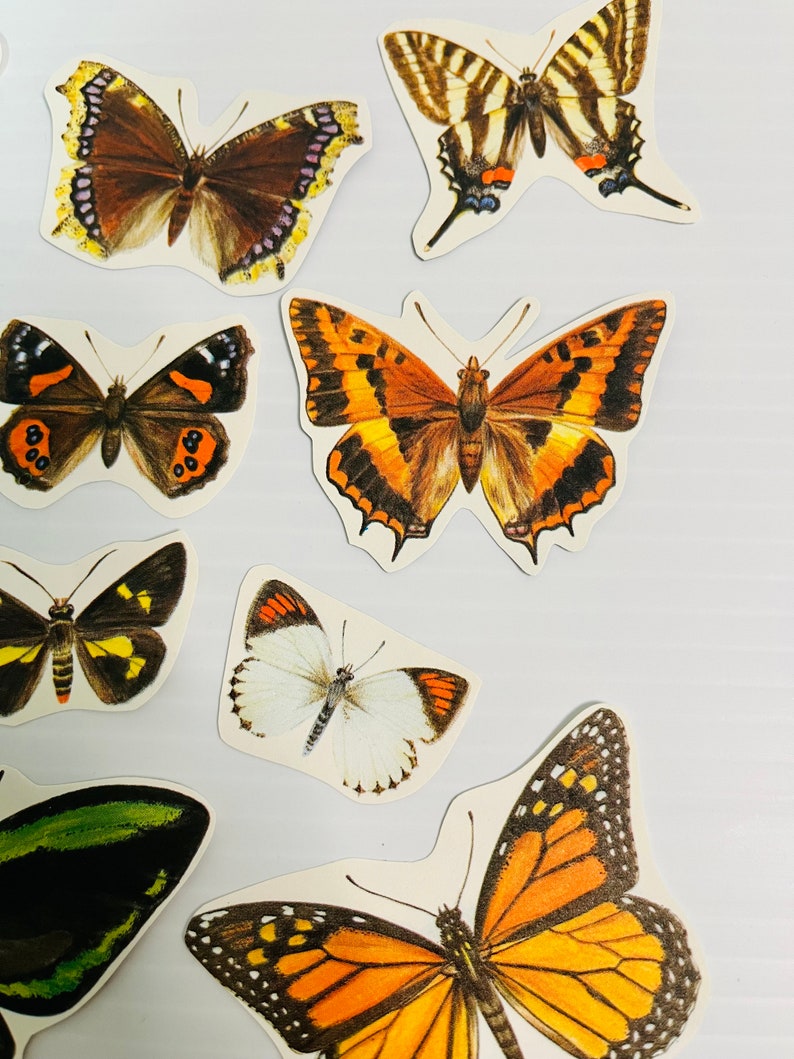 Butterflies diecut ephemera pack collage kit junk journal pack scrapbooking set 11 pieces image 2