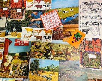 May include: A collage of vintage images featuring agricultural themes. Includes images of cows, produce, a bingo card, and a "Raw Good Health Guide" sign. The color palette is dominated by greens, reds, and yellows.