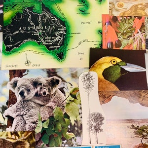 Kit de collage con temática de Australia, kit de collage con flora y fauna, paquete de material efímero, paquete de recortes, diario basura, álbum de recortes, tablero de estado de ánimo