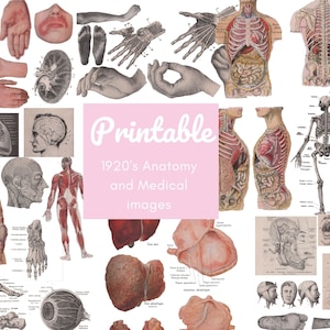 PRINTABLE antique Human Body Medical Anatomy Macabre Halloween Digital Collage Printable Digi Kit Pack - 1920s Anatomical Encyclopedia