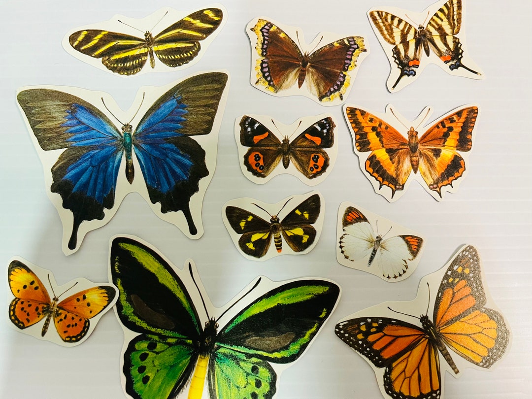 Butterflies Diecut Ephemera Pack Collage Kit Junk Journal Pack ...
